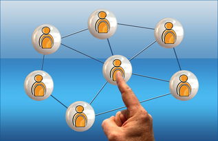 kaiyun体育综合-世界足球推广：南南合作助力新兴市场崛起，南亚足球强国