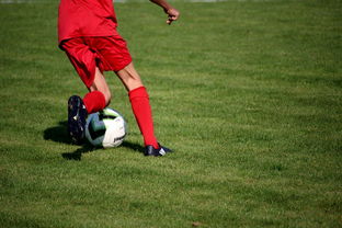 开云体育平台-篮球专项技能训练标准体系建设，篮球专项训练方法和手段